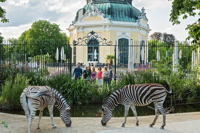 Zoo Schönbrunn
