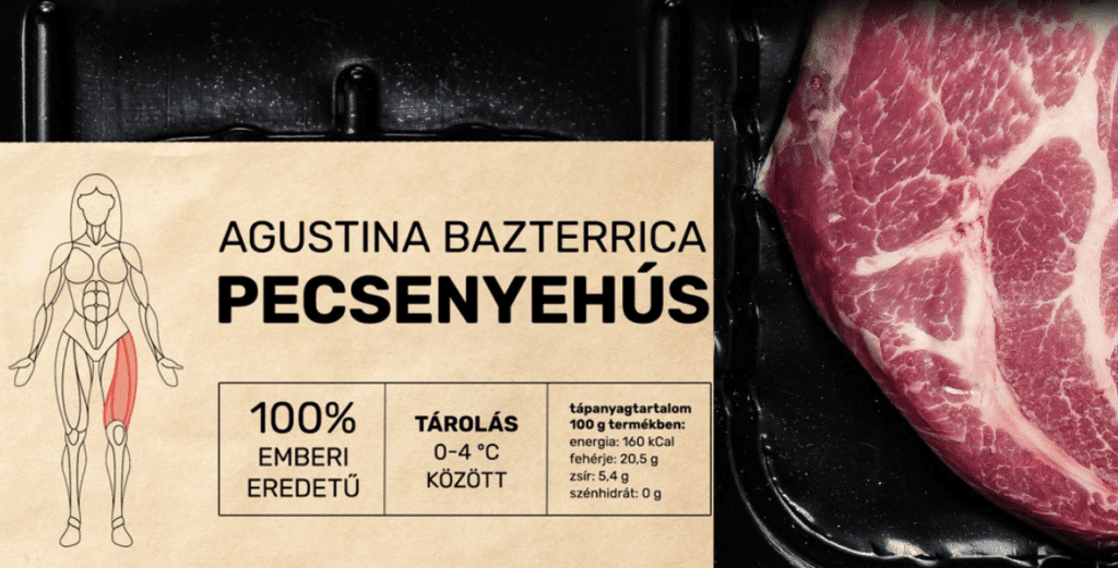Pecsenyehús kritika