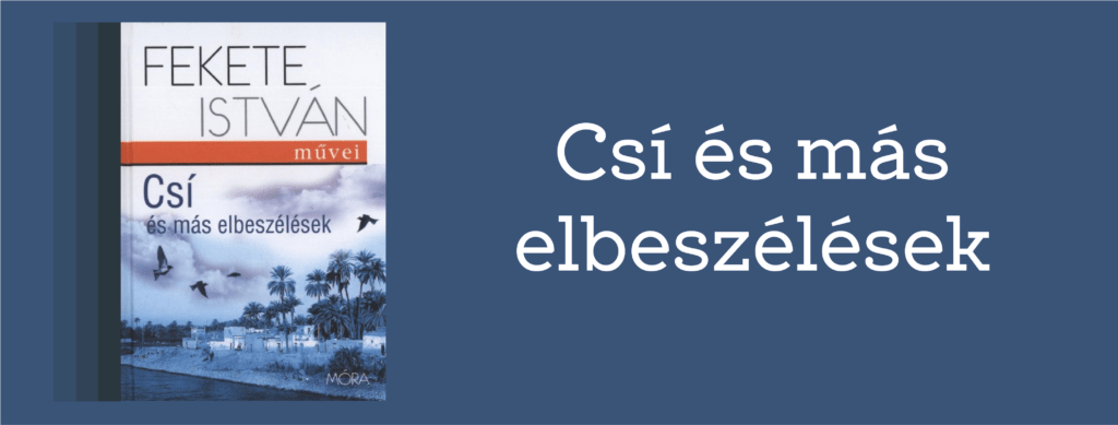 Csí