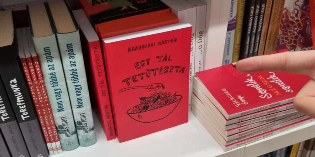 Egy tál tetűtészta, borító