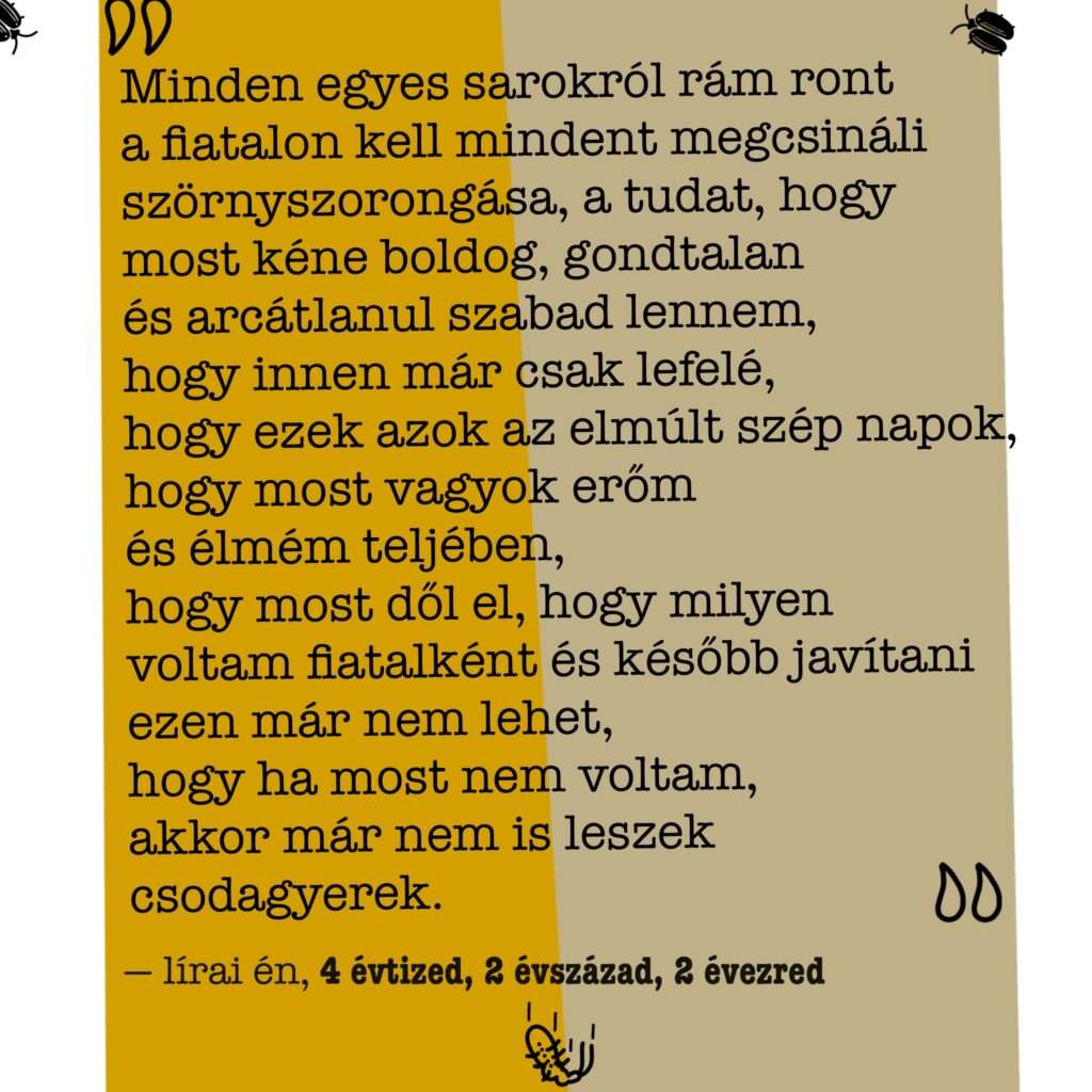 Egy tál tetűtészta 7