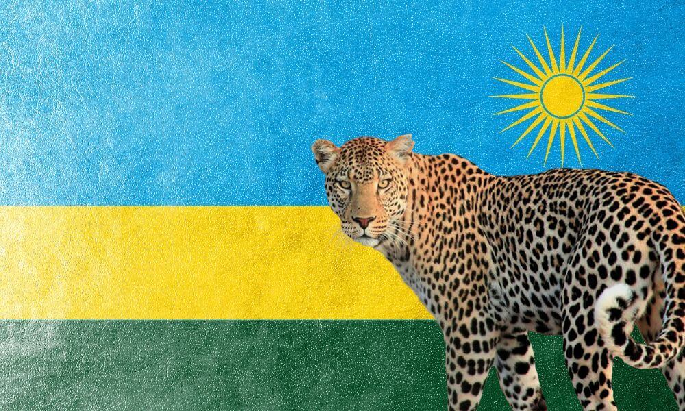 Ruanda zászlaja és nemzeti állata, a leopárd