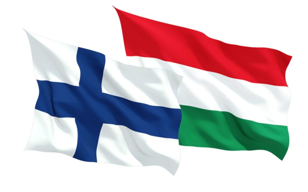 Finn-magyar